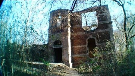 Drogtanya a Népligetben