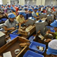 A mindennapok Indonéziában